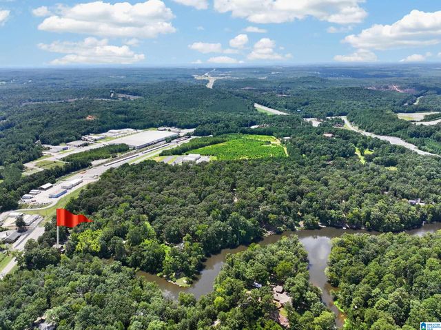 10876 MALLARD LAKE LANE, Cottondale, AL 35453