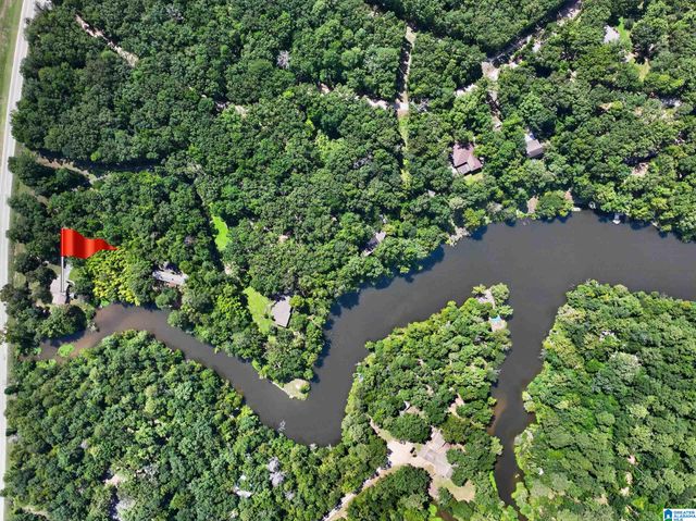 10876 MALLARD LAKE LANE, Cottondale, AL 35453
