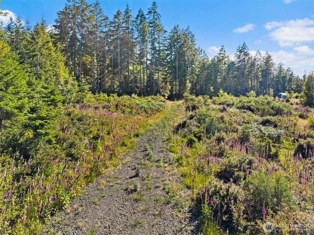 2561 E Harstine Island Road N, Shelton, WA 98584