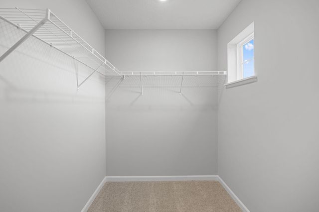 1124 Annacotte Lane, Rosemount, MN 55068