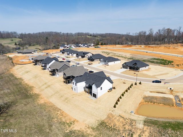 282 Ruby Rose Ridge, Jonesborough, TN 37659
