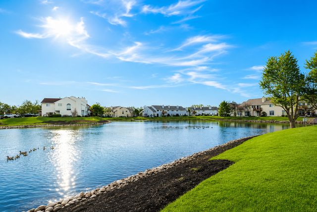 1052 Ripple Ridge 0, Darien, IL 60561