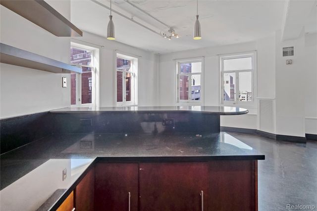 2233 Park Avenue 5A, Detroit, MI 48201