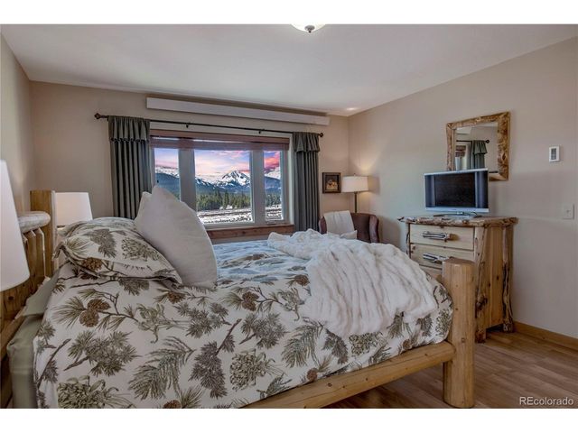 216 Glacier Ridge Rd, Alma, CO 80420