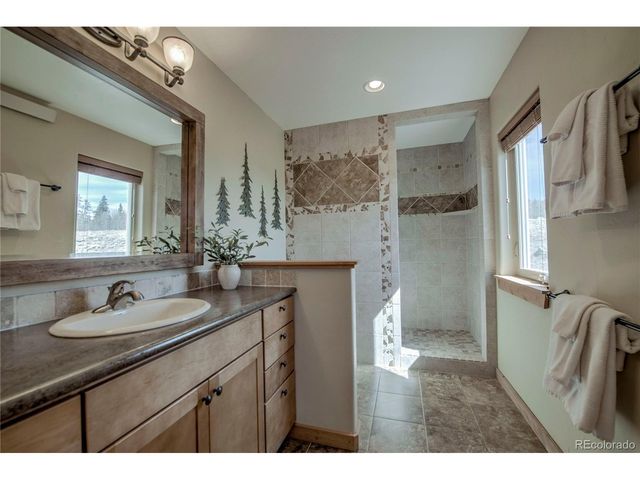 216 Glacier Ridge Rd, Alma, CO 80420
