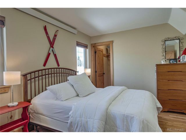 216 Glacier Ridge Rd, Alma, CO 80420