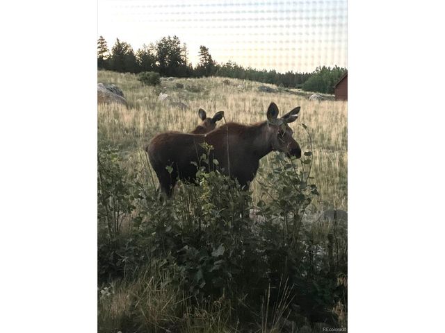 216 Glacier Ridge Rd, Alma, CO 80420