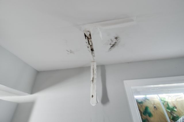 30 Poinsett Street, Charleston, SC 29403