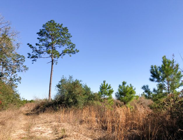 0 Fresenius Rd, Silsbee, TX 77656