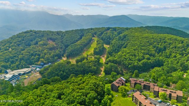 1380 Ski View Drive # 2103, Gatlinburg, TN 37738