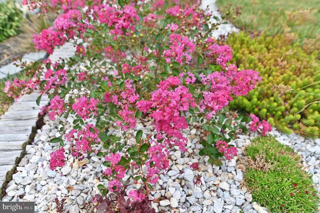 105 KELLER CT, Winchester, VA 22602