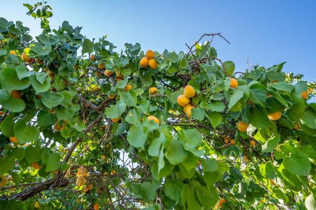 21999 Riverside Avenue, Red Bluff, CA 96080