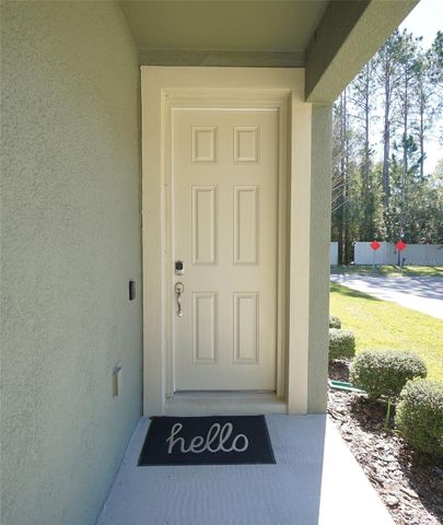 5974 GRAND SONATA AVENUE, Lutz, FL 33558