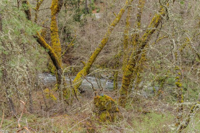 21655 Highway 26, West Point, CA 95255