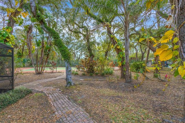 12211 TWIN BRANCH ACRES ROAD, Tampa, FL 33626