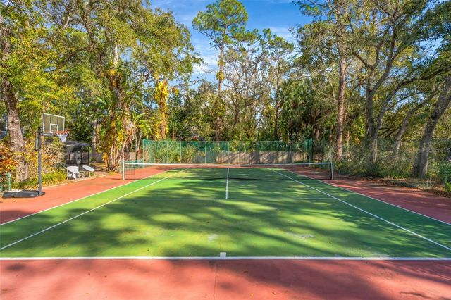 12211 TWIN BRANCH ACRES ROAD, Tampa, FL 33626