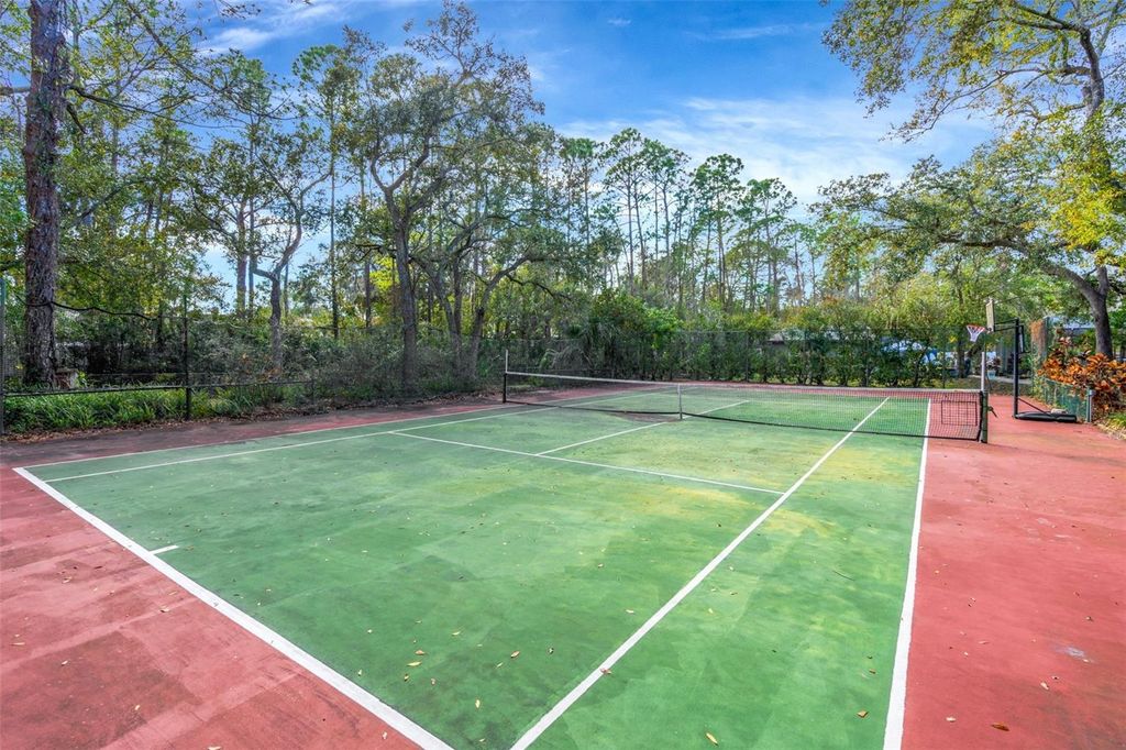 Image 45 of property listing at 12211 TWIN BRANCH ACRES ROAD, Tampa, FL 33626