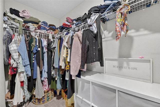 12775 MANGROVE FOREST DRIVE, Riverview, FL 33579