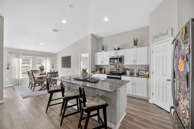 12775 MANGROVE FOREST DRIVE, Riverview, FL 33579