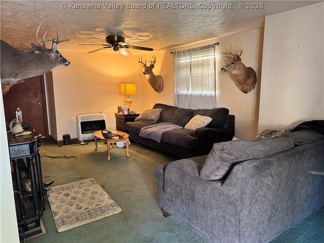 316 Nancy Avenue, Belle, WV 25015