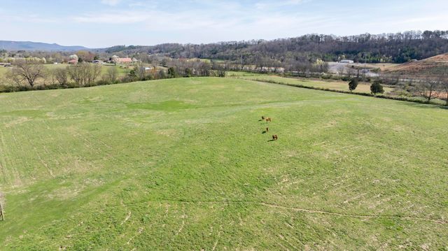 4637 Ideal Valley Road, Spring City, TN 37381