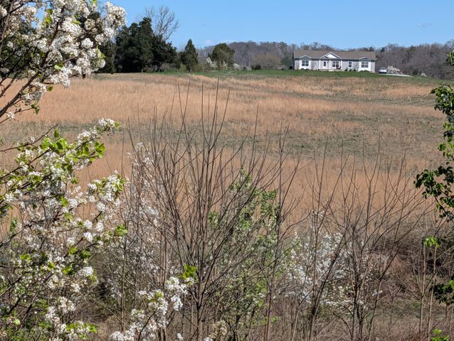 4637 Ideal Valley Road, Spring City, TN 37381