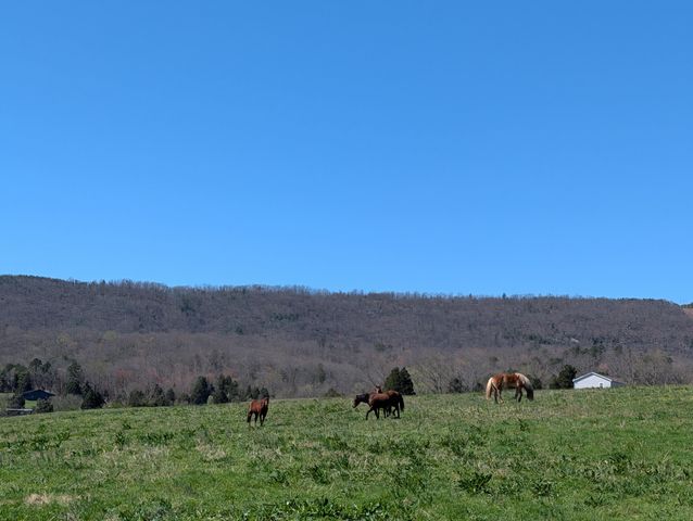 4637 Ideal Valley Road, Spring City, TN 37381