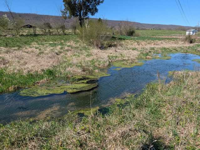 4637 Ideal Valley Road, Spring City, TN 37381