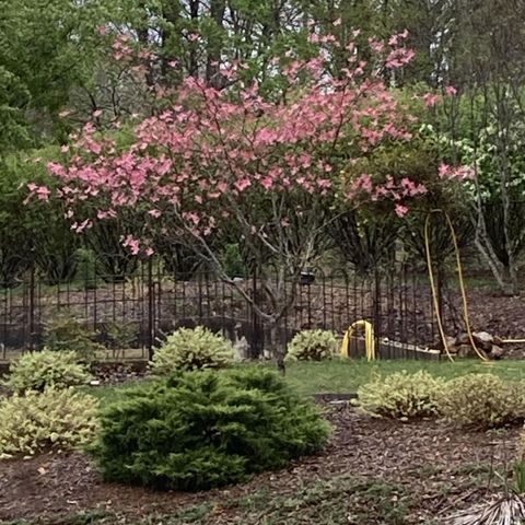 23 Waterpoint CT, Moneta, VA 24121