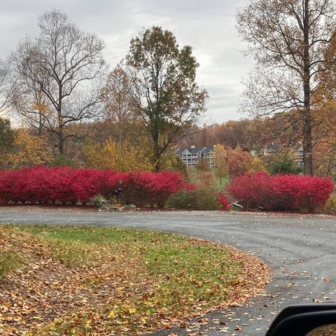 23 Waterpoint CT, Moneta, VA 24121