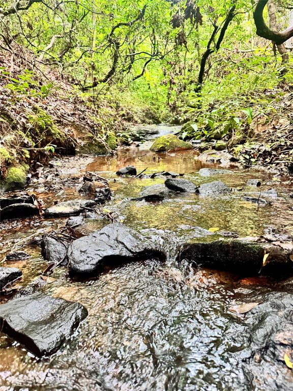 0 Travelers Rest Lane, Rutherfordton, NC 28139