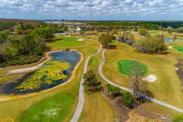 10352 MOSHIE LANE, San Antonio, FL 33576