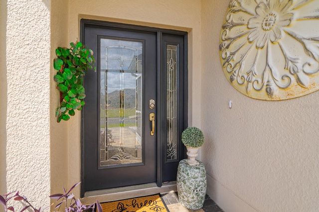 10352 MOSHIE LANE, San Antonio, FL 33576