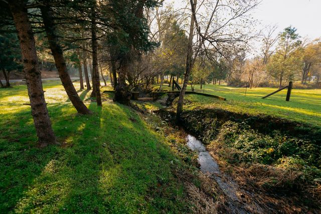 1325 Boole Rd, Applegate, CA 95703