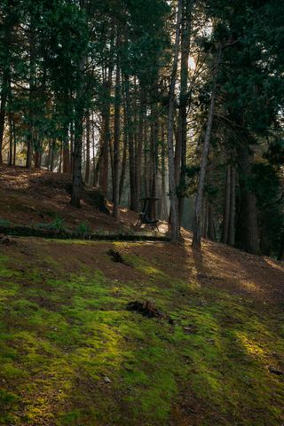 1325 Boole Rd, Applegate, CA 95703