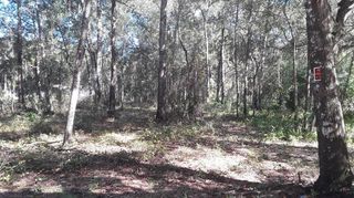 NE 68TH COURT, Citra, FL 32113