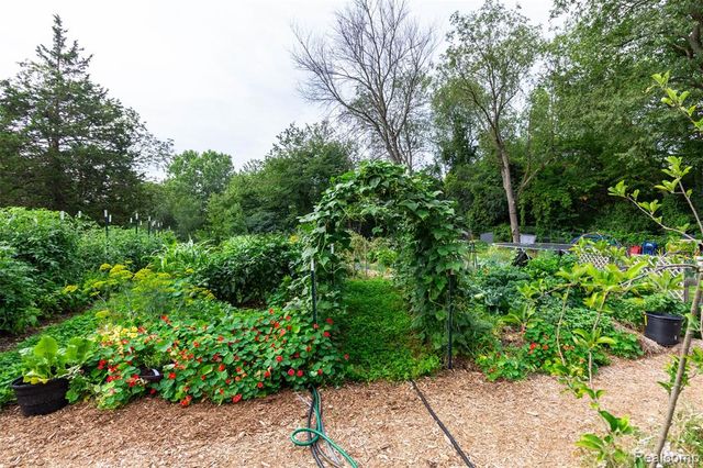 2509 Munster Road, Rochester Hills, MI 48309