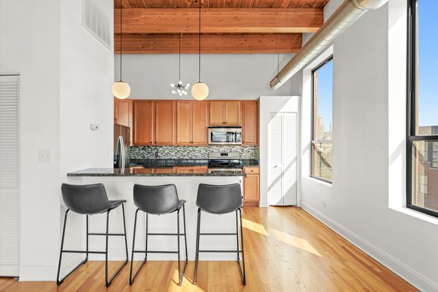 1610 S Halsted Street 504, Chicago, IL 60608