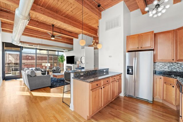 1610 S Halsted Street 504, Chicago, IL 60608