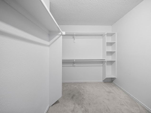 3435 Winter Oak Drive, Garland, TX 75044