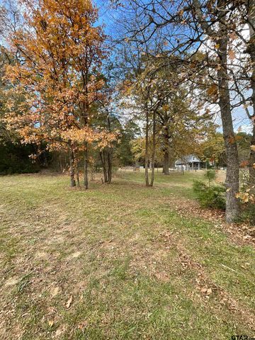 319 Christine Drive, Bullard, TX 75757