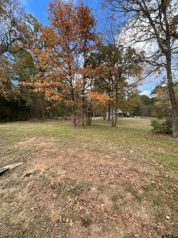 319 Christine Drive, Bullard, TX 75757