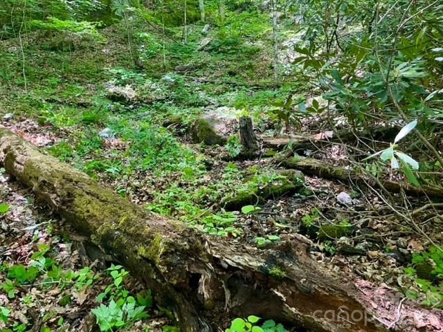 00000 Soco Road, Maggie Valley, NC 28751