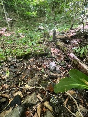 00000 Soco Road, Maggie Valley, NC 28751