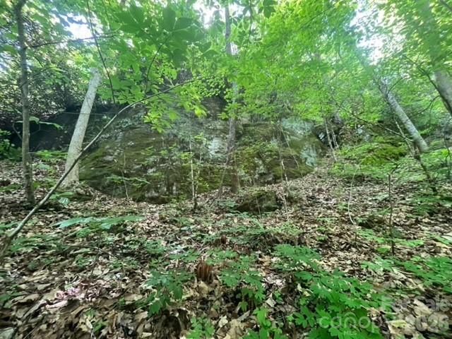 00000 Soco Road, Maggie Valley, NC 28751
