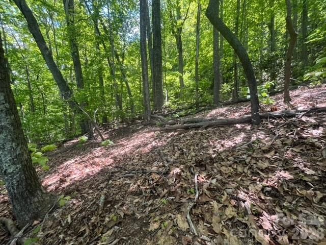 00000 Soco Road, Maggie Valley, NC 28751