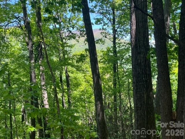 00000 Soco Road, Maggie Valley, NC 28751