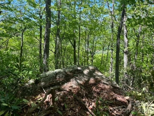 00000 Soco Road, Maggie Valley, NC 28751