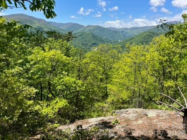 00000 Soco Road, Maggie Valley, NC 28751