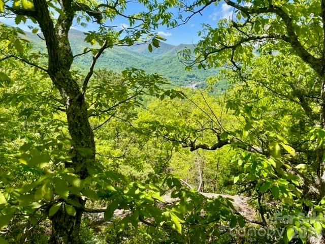 00000 Soco Road, Maggie Valley, NC 28751